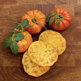 Chef's Choice Orange, (F1) Tomato Seeds